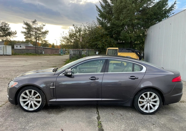 Jaguar XF cena 16700 przebieg: 244580, rok produkcji 2008 z Nysa małe 466